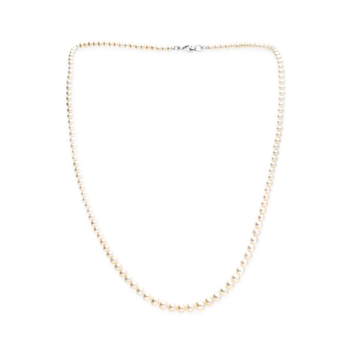 Valeria - Collier or blanc et perle de culture