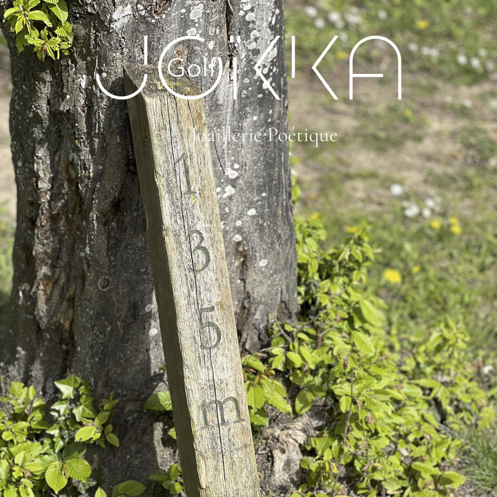 Médaillon club golf - Bracelet argent, finition rhodié